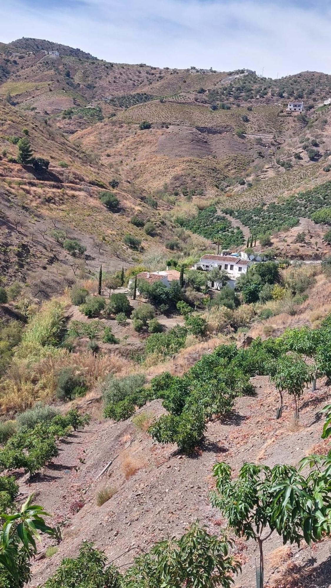 Гостевой дом Cortijo Lagar De Luisa Борхе Экстерьер фото