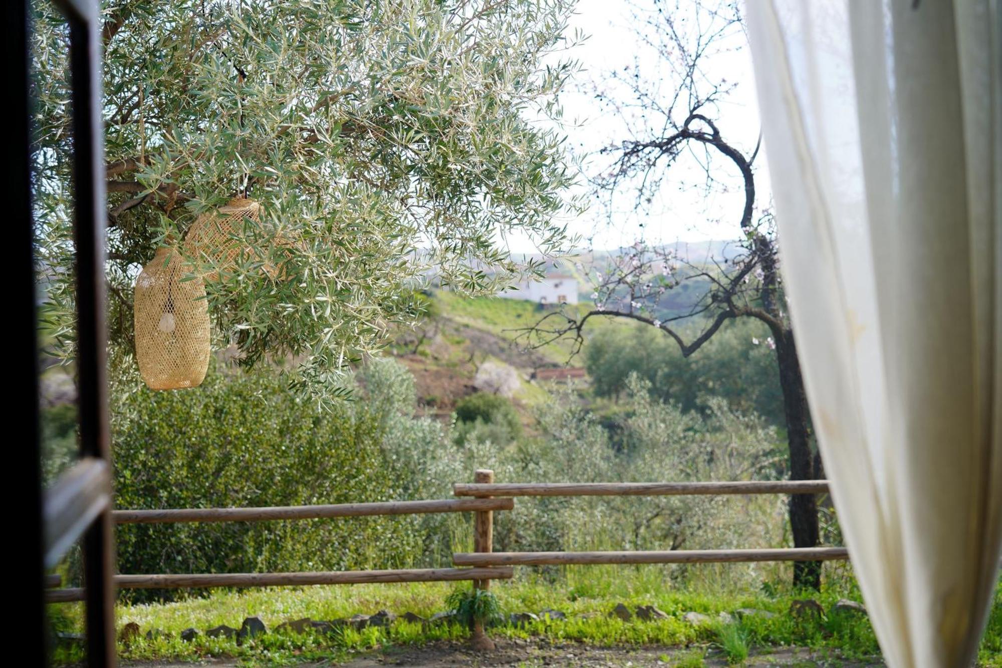 Гостевой дом Cortijo Lagar De Luisa Борхе Экстерьер фото