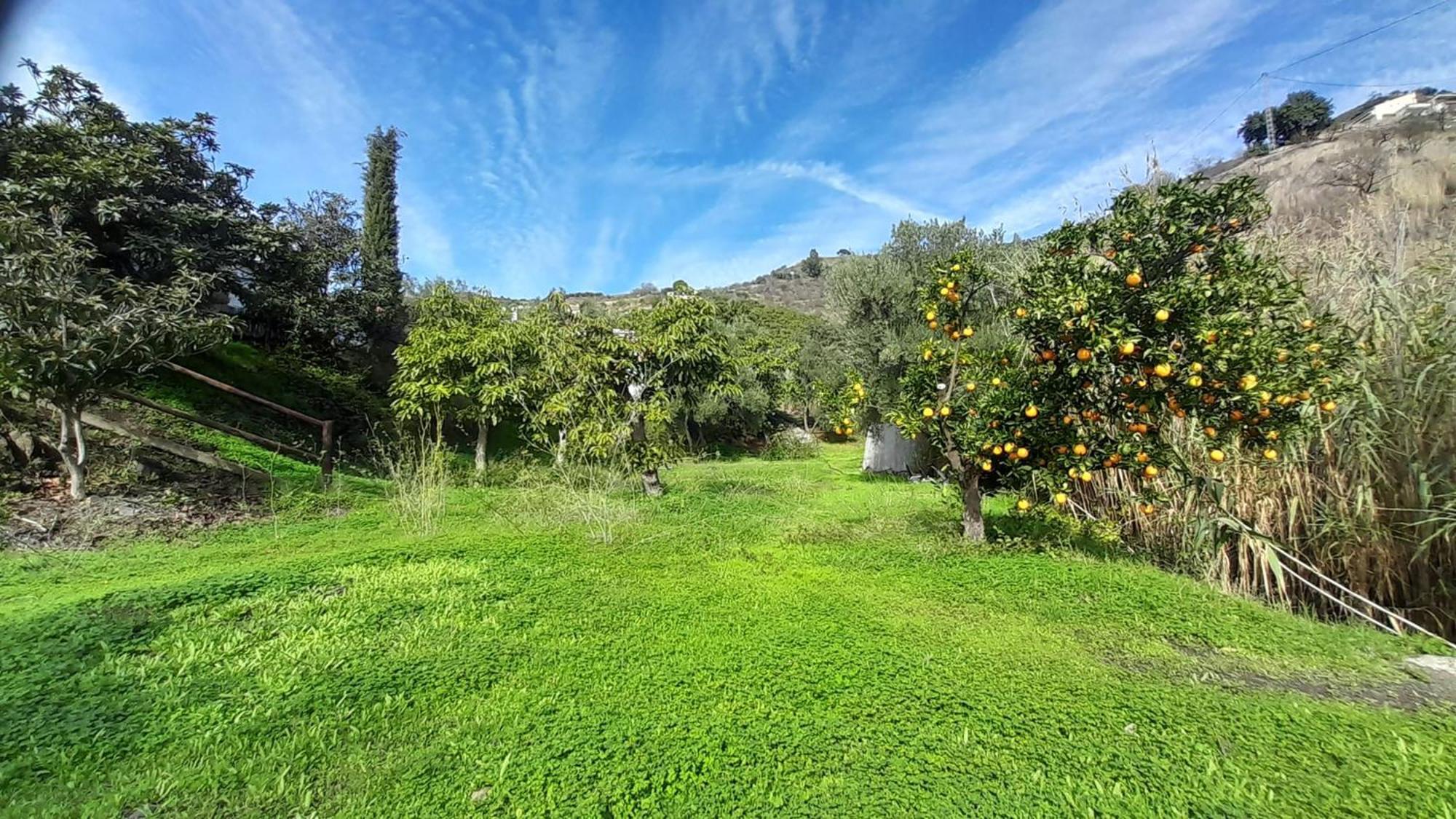 Гостевой дом Cortijo Lagar De Luisa Борхе Экстерьер фото