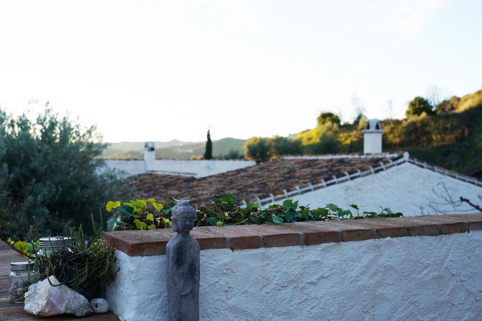 Гостевой дом Cortijo Lagar De Luisa Борхе Экстерьер фото