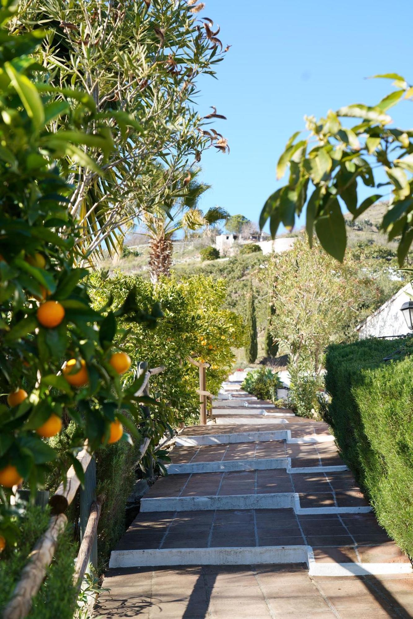Гостевой дом Cortijo Lagar De Luisa Борхе Экстерьер фото