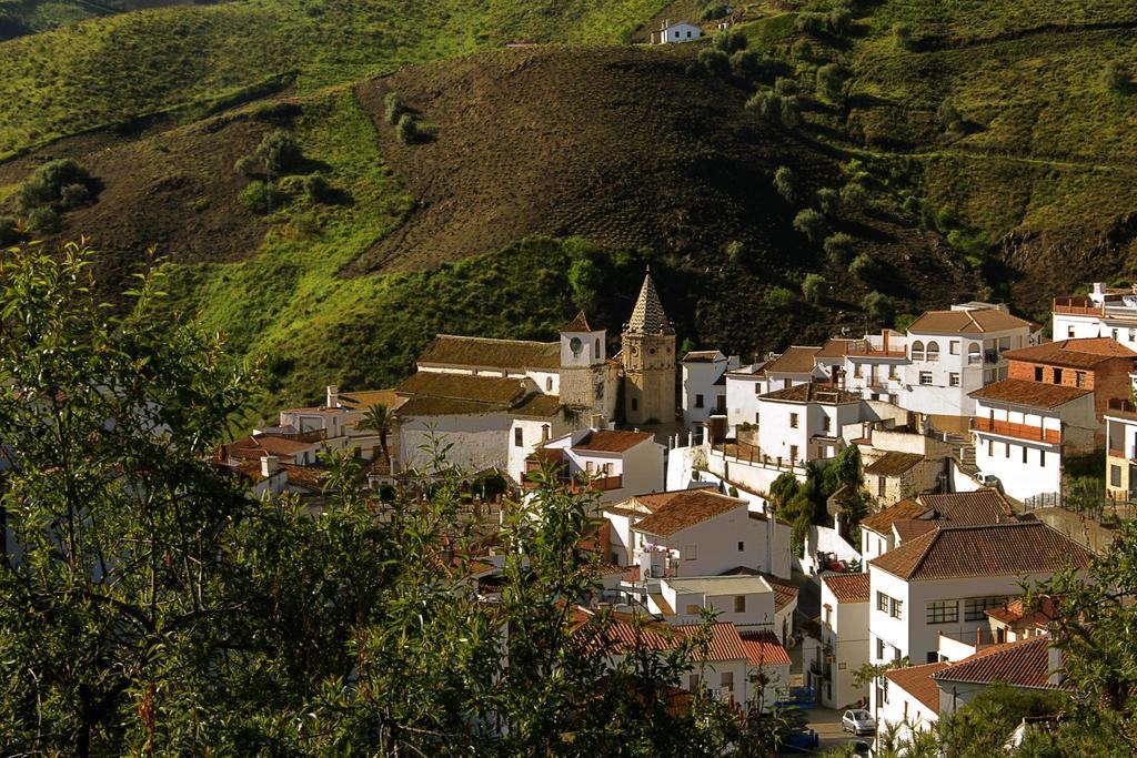 Гостевой дом Cortijo Lagar De Luisa Борхе Экстерьер фото